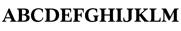 Aktuell Bold Font UPPERCASE