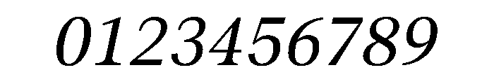 Aktuell NormalItalic Font OTHER CHARS