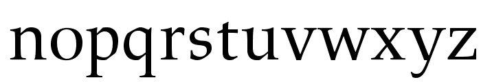 AldusLTStd-Roman Font LOWERCASE
