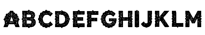 Alaus Regular FONT