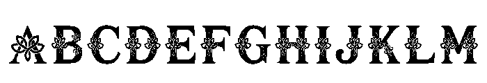 Alcmene Regular Font UPPERCASE