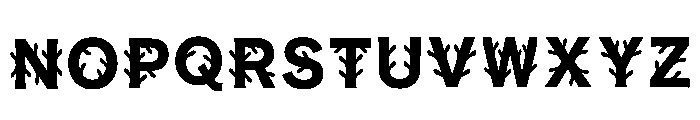 Alist Regular Font LOWERCASE