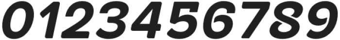 Alaturka 1923 Normal Bold Italic otf (400) Font OTHER CHARS