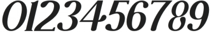 Alegvierk Italic otf (400) Font OTHER CHARS