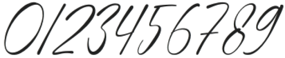 Alicer Script Regular otf (400) Font OTHER CHARS