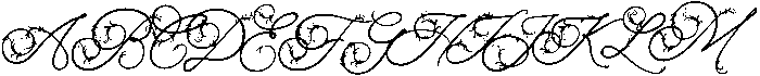 Alight Garden Bloom otf (300) Font UPPERCASE