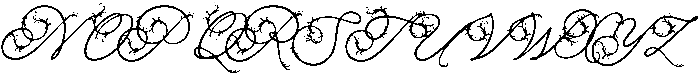 Alight Garden Bloom otf (300) Font UPPERCASE