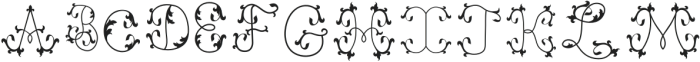 Aliya Monograms Regular otf (400) Font LOWERCASE