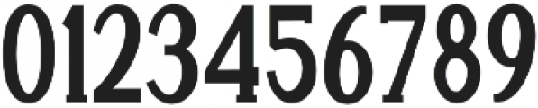 AllisonStyle Serif Regular otf (400) Font OTHER CHARS