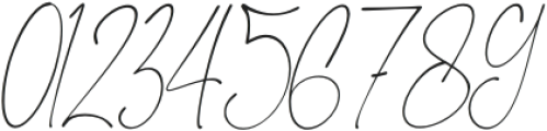 Almerita Italic otf (400) Font OTHER CHARS