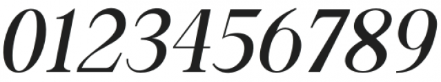 Along Serif BSC LightItalic otf (300) Font OTHER CHARS