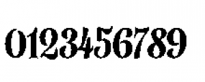 Alfons Serif Bold 2 Font OTHER CHARS