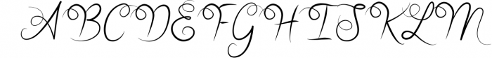 Alamanda Calligraphy Font - wedding font Font UPPERCASE