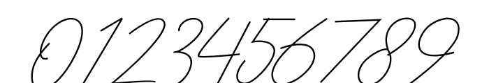 Allena Signature Font OTHER CHARS