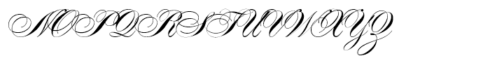 Alexandra Script Normal Font UPPERCASE