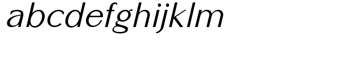 Altrincham Regular Oblique Font LOWERCASE