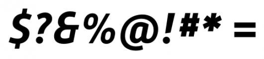 Alwyn New Bold Italic Font OTHER CHARS