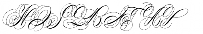 Albion Signature Medium Font UPPERCASE
