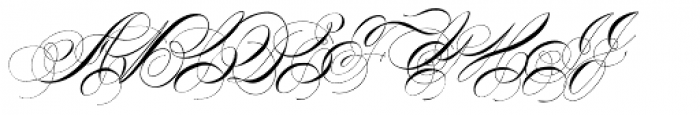 Albion Signature Font UPPERCASE
