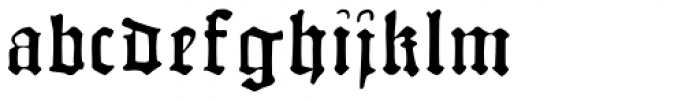 Albrecht Pfister Font LOWERCASE