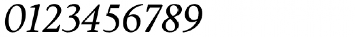 Alcala Italic Font OTHER CHARS