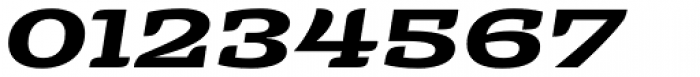 Alebrije Expanded Bold Italic Font OTHER CHARS