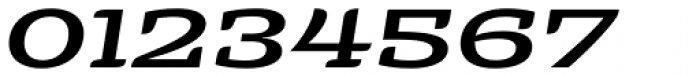 Alebrije Expanded Medium Italic Font OTHER CHARS