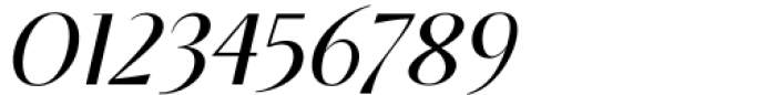 Aleesya Serif Medium Italic Font OTHER CHARS