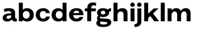Alergia Grotesk Wide Bold Font LOWERCASE