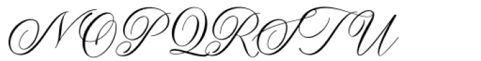 Alexandra Calligraphy Regular Font UPPERCASE