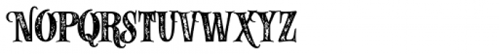 Alfons Serif Bold Printed Font UPPERCASE