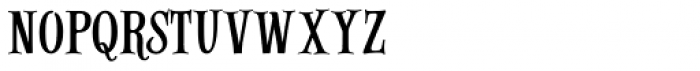 Alfons Serif Regular Font LOWERCASE