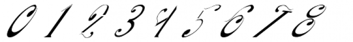 Aliya Italic Font OTHER CHARS