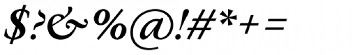 Allrounder Antiqua Medium Italic Font OTHER CHARS