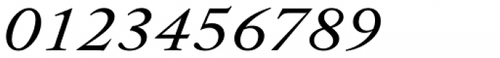 Allrounder Antiqua Regular Italic Font OTHER CHARS