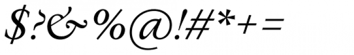 Allrounder Antiqua Regular Italic Font OTHER CHARS