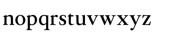 Allrounder Antiqua Regular Font LOWERCASE