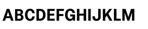 Allrounder Grotesk Condensed Bold Font UPPERCASE