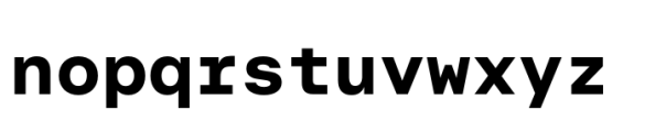 Allrounder Grotesk Mono Bold Font LOWERCASE
