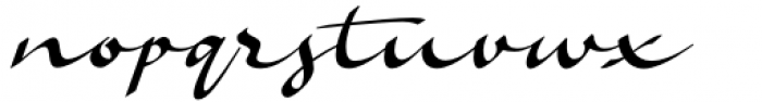 Almatine  Script Font LOWERCASE