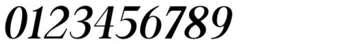 Along Serif BSC Regular Italic Font OTHER CHARS