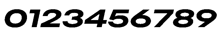 AlaskaVAR ExpandedBoldItalicContrast Instance Font OTHER CHARS