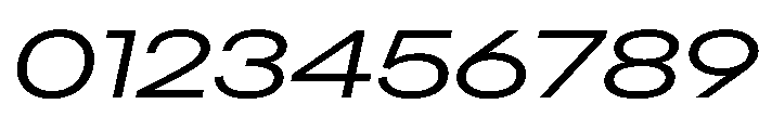 AlaskaVAR ExpandedBookItalicContrast Instance Font OTHER CHARS