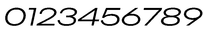 AlaskaVAR ExpandedLightItalic Instance Font OTHER CHARS