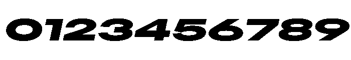 AlaskaVAR UltraExpandedBlackItalic Instance Font OTHER CHARS