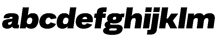 AlbumSans BlackItalic FONT