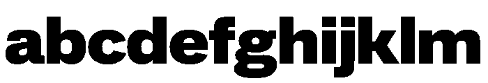 AlbumSans Black FONT