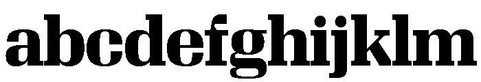 Algebra Display Bold FONT