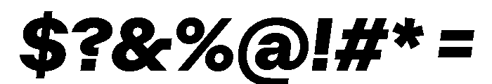 Algorytm ExtraboldItalic Font OTHER CHARS