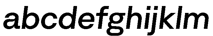 Algorytm MediumItalic FONT